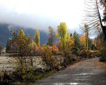 Harrison Hot Springs Path