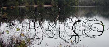 Lake Ann