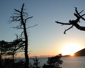 Marine Park Sunset