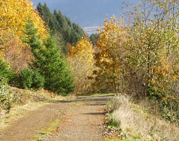 Road to Mission