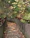 Autumn Bridge