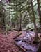 Bridal Veil Falls Path