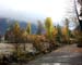 Harrison Hot Springs Path