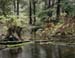 Lake Anne1