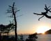 Marine Park Sunset