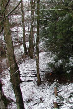 Fishtrap Creek Duck House