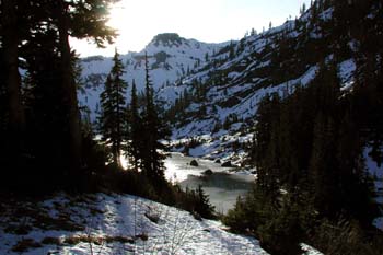 Mt. Baker Meadow