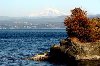 Mt. Baker and Lummi Island