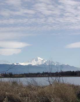 Mt. Baker