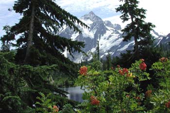 Mt. Shuksan