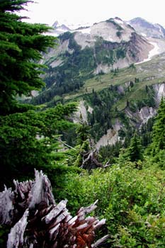 Mt.Baker_Trail
