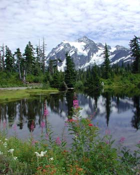 Picture Lake