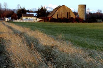 Barn on the Hannegan (horizontal)