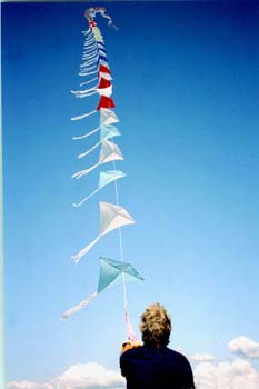Bellingham Kites