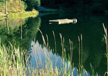 Lummi Island Swimming Hole
