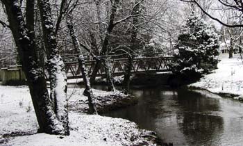 Lynden City Park Snowscape