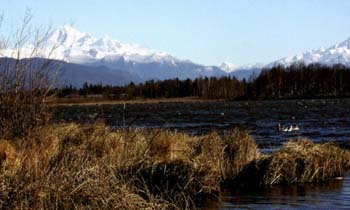Mt. Baker from Wiser Lake