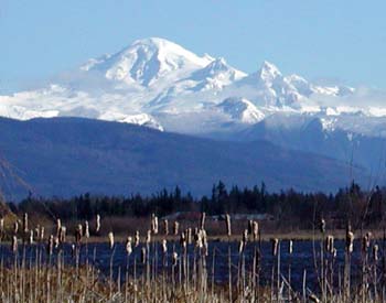 Mt. Baker