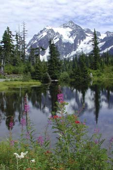 Mt. Shukson