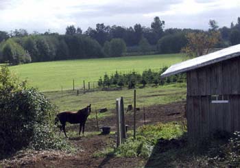 Nooksack Valley