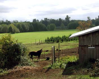 Nooksack Valley